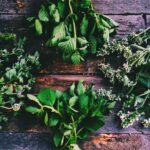 What 8 herbs help fight flu and cold?