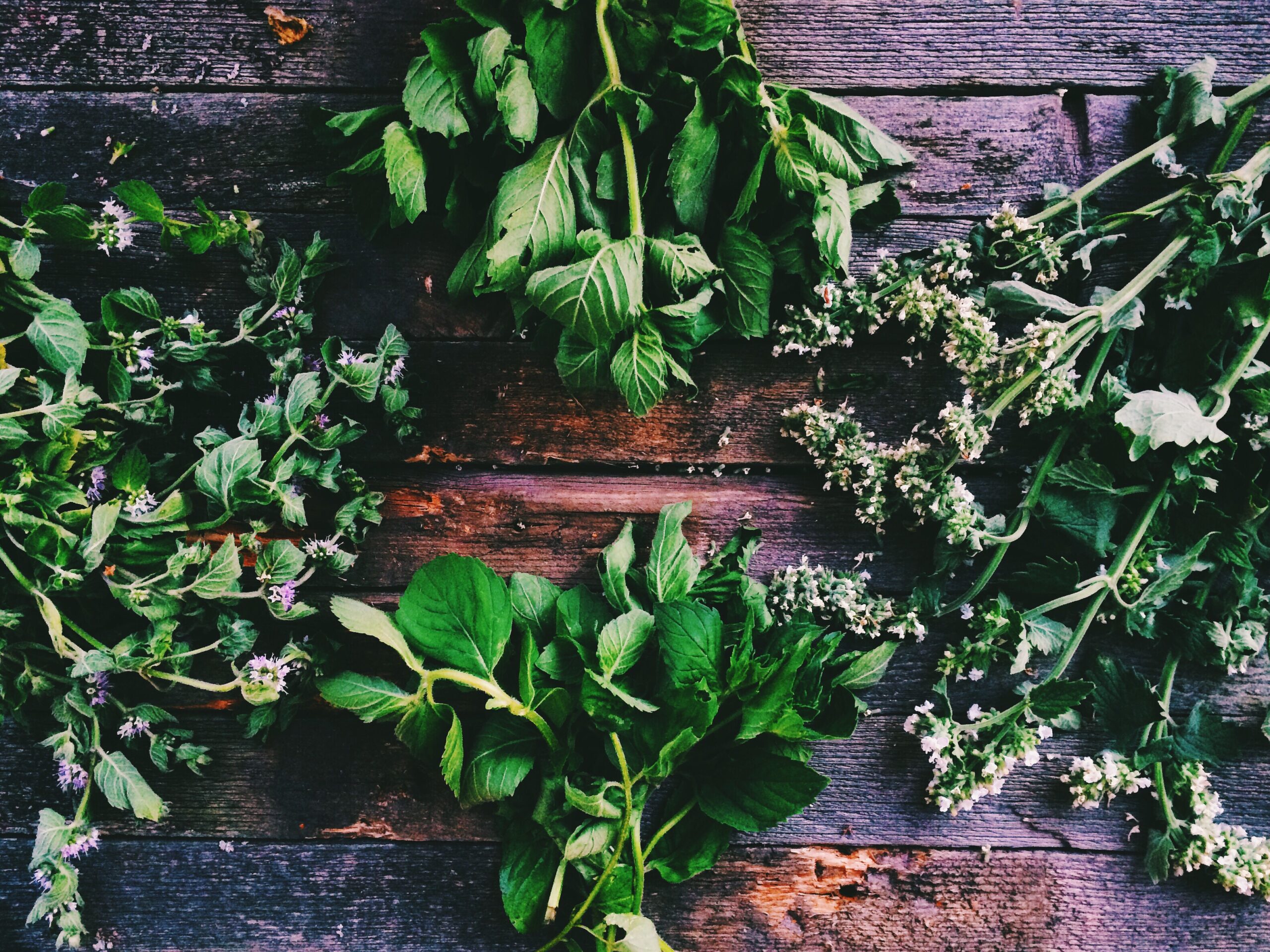 Herbs that fight cold