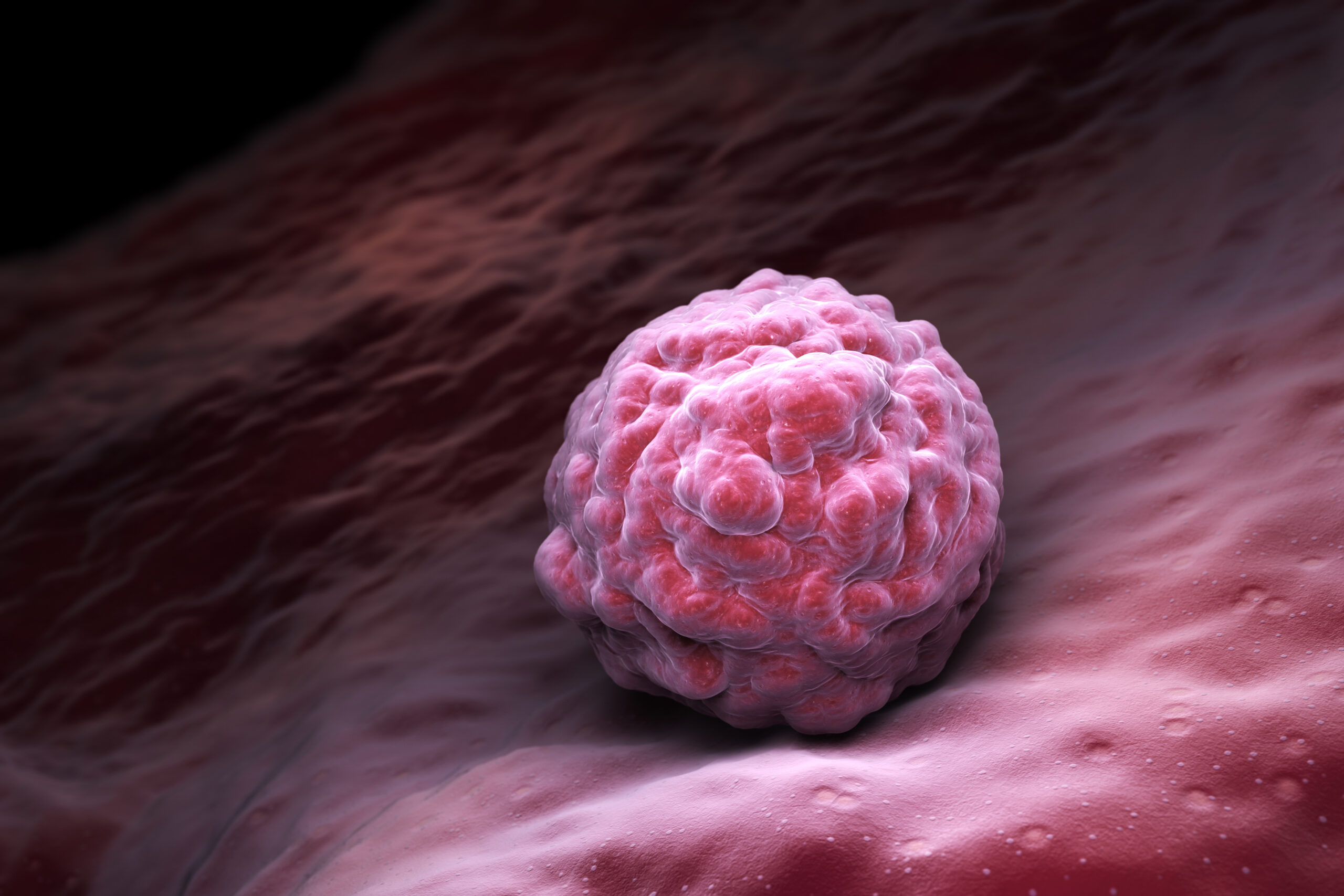 Cancer cells vs embryonic stem cells